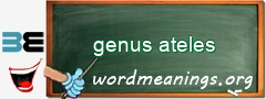 WordMeaning blackboard for genus ateles